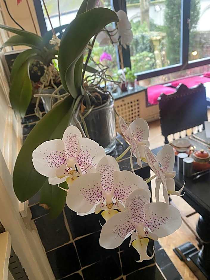 The Museum - Au Lit, Jérôme!