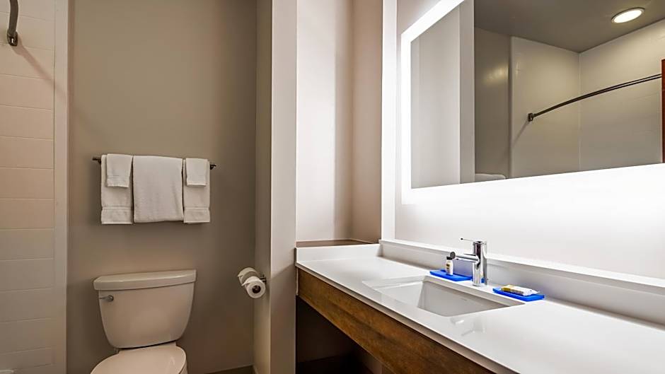 Holiday Inn Express & Suites Detroit - Farmington Hills By IHG