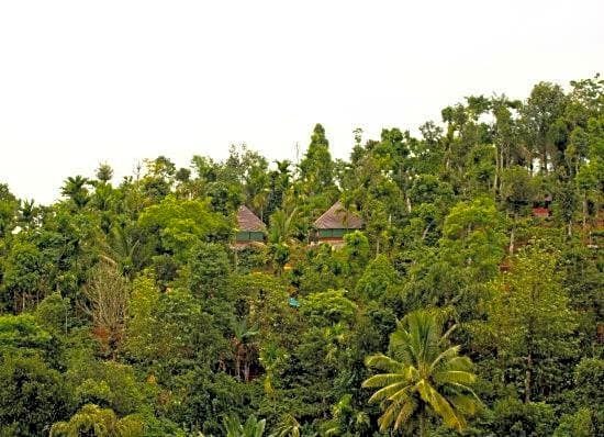 Grassroots Wayanad, Valley-view Tents