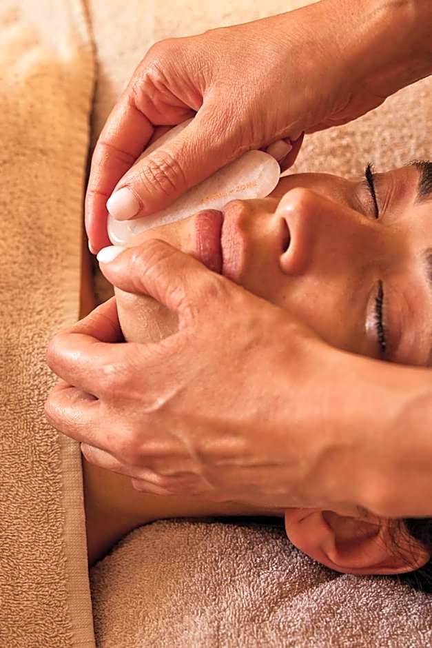 Ultimate Provence Hotel & Spa