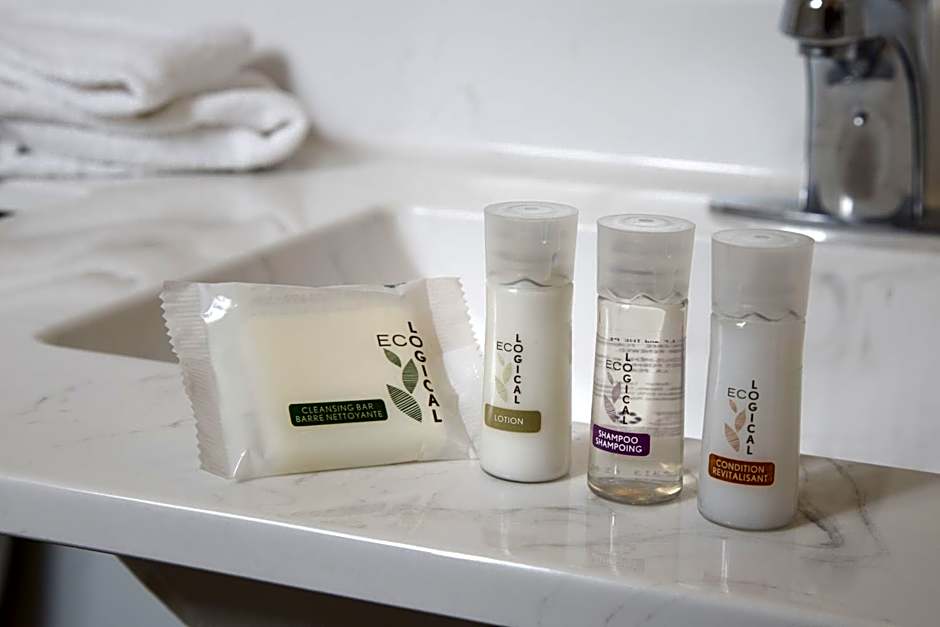 The Falls Hotel & Inn