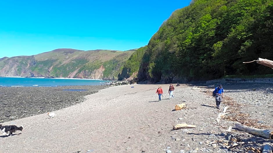 Highfield House, Parracombe, Modern B&B