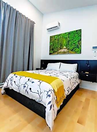 LuxQuarters Blueberry Studio