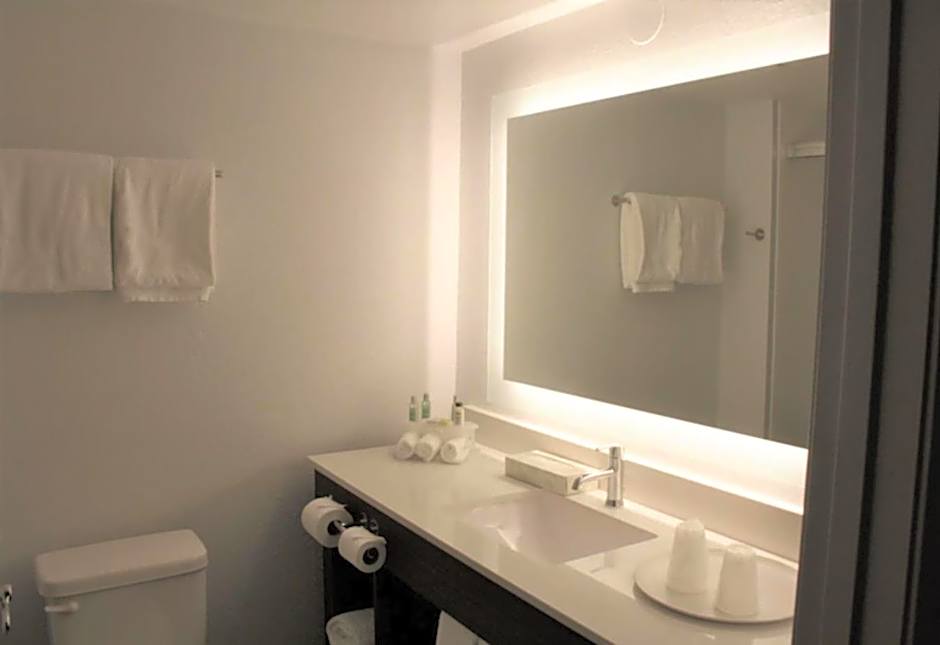 Holiday Inn Express Atlanta NE - I-85 Clairmont by IHG