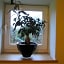 De Martiene Plats - Bed & Breakfast