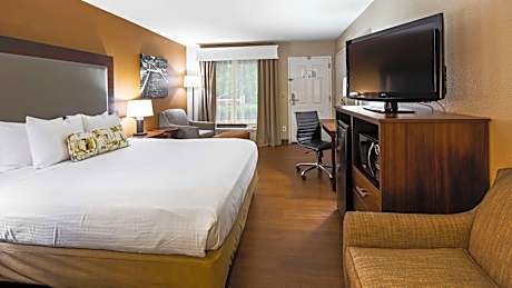 Queen Room with Roll-in Shower - Disability Access - Non-smoking