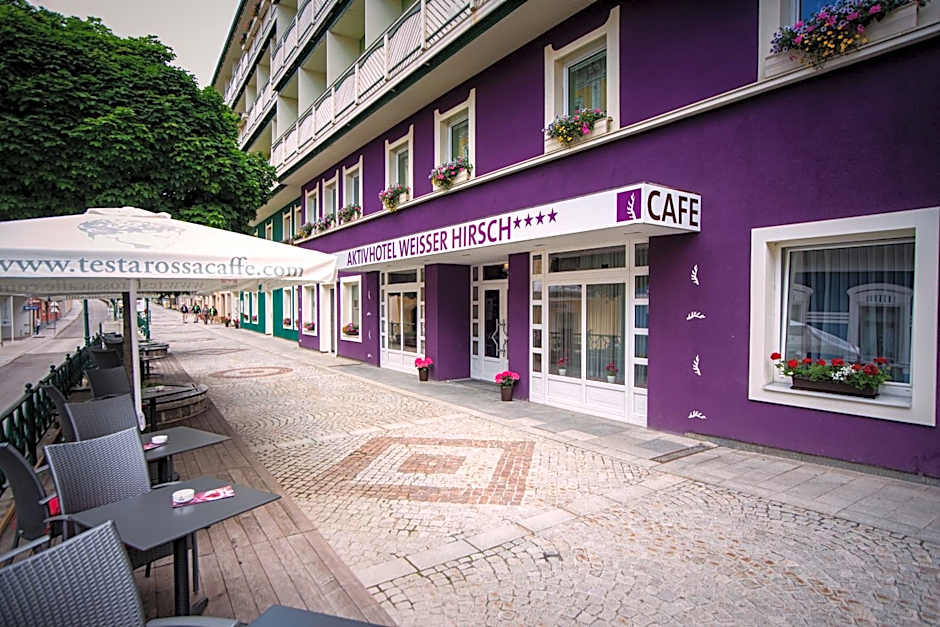 AKTIVHOTEL Weisser Hirsch