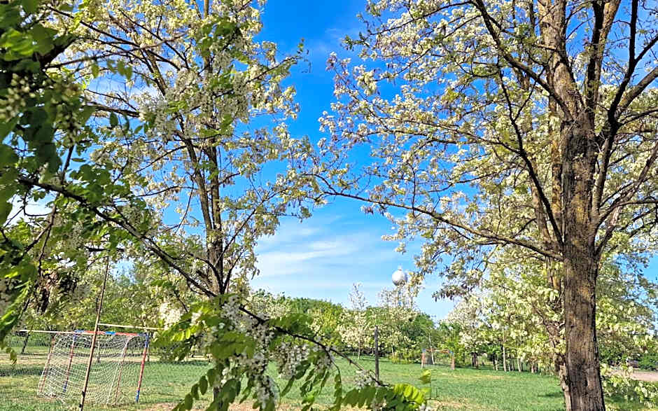 Casanova apartman és wellness