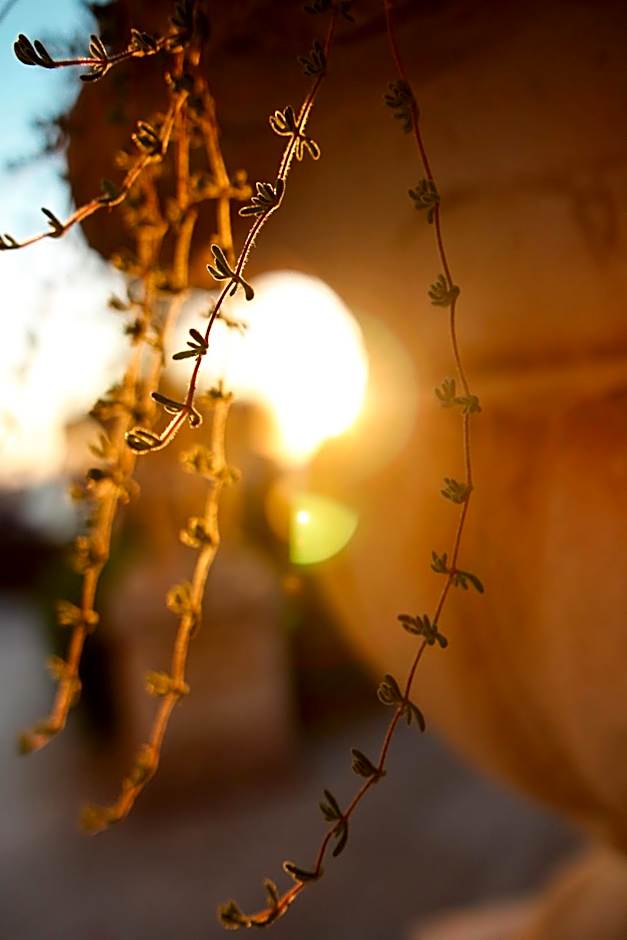 Hotel Villa Margherita