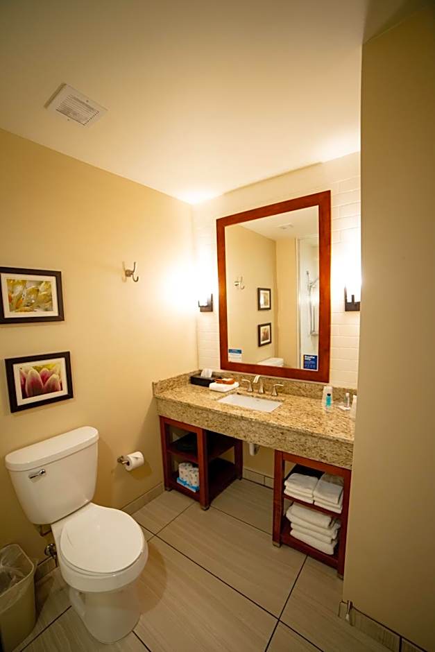 Comfort Suites University