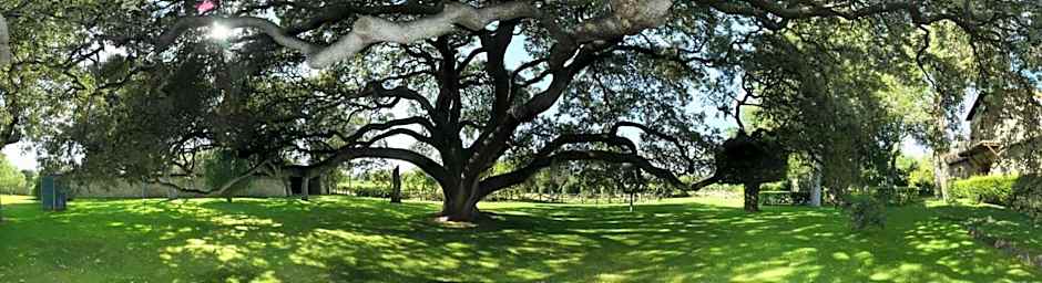 La Casita de la Planta