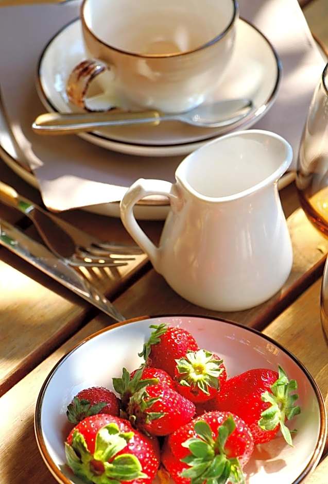 Hôtel Mas Vidau Porte des Alpilles