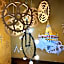 Old Capital Bike Inn - SHA Certified