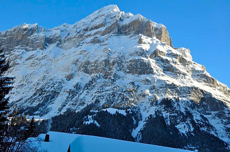 Central Hotel Wolter