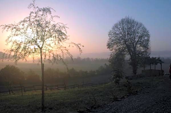 Chambres d'Hôtes Gelous