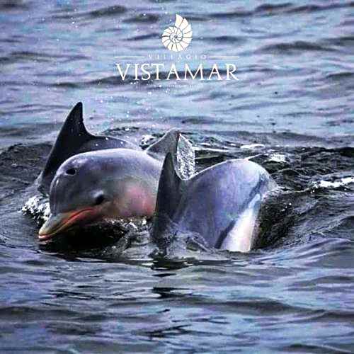 Villagio Vistamar Ilha Comprida