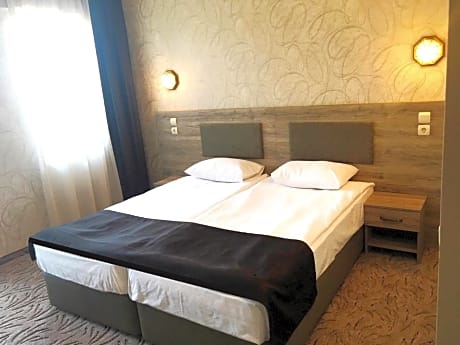 Deluxe Double or Twin Room with City or Mountain View