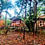 Seringal jungle Lodge