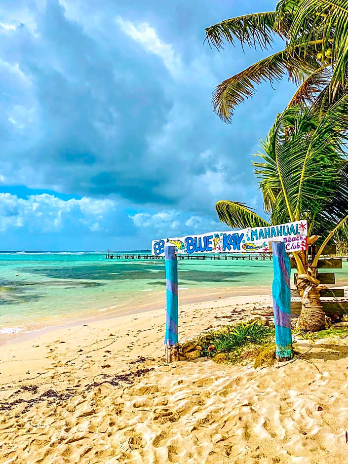 Eco Cabañas Bluekay