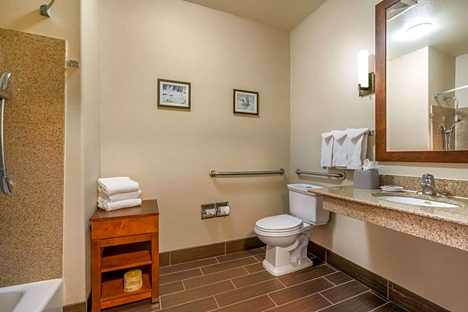 Comfort Inn and Suites Galt - Lodi North