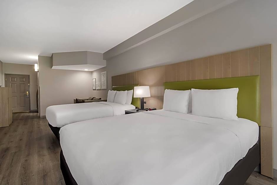Photo 1 of 1 of 2 Queen Beds with Sofabed Suite