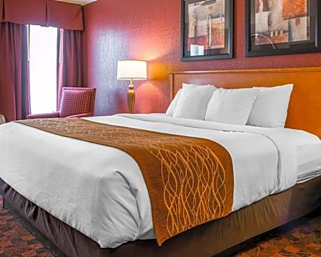 1 King Bed, Nonsmoking