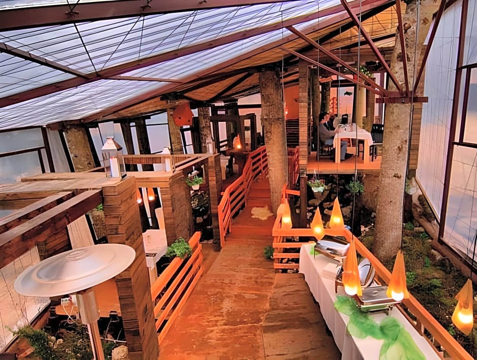 Ioana Hotels