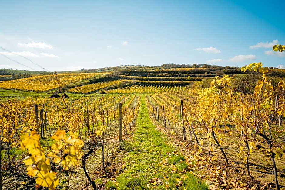 Zámecký Hotel ANTON FLORIAN
