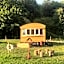 Shepherds Huts Ham Hill, 2 double beds, Bathroom, Lounge, Diner, Kitchen, LOVE dogs & Cats Looking out to lake and by Ham Hill Country Park plus parking for large vehicles available also great deals on workers long term This is the place to relax and BBQ