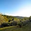 B&B Le Dimore Mezza Costa