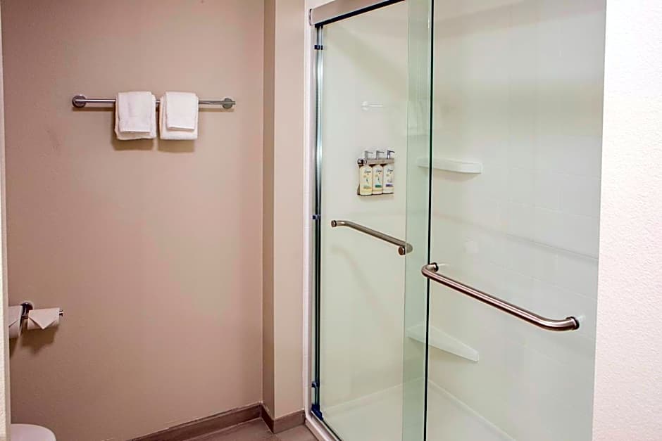 Holiday Inn Express & Suites Sioux City-South By IHG