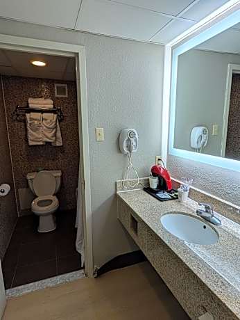 King Studio Suite - Non-Smoking