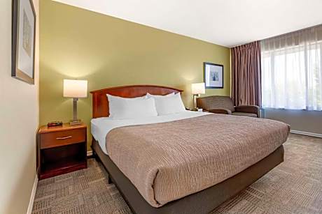 Standard King Room - Non-Smoking