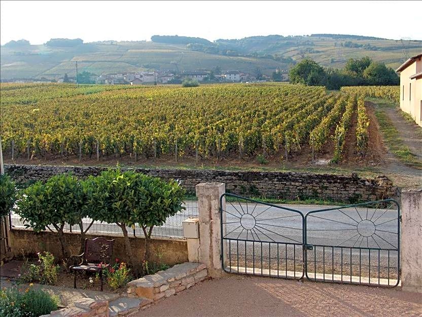 LA VIGNERAIE - SARL Champ Potard