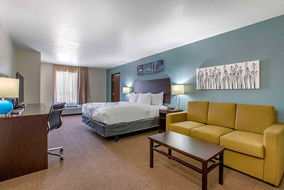 Photo 1 of 6 of 1 King Bed Suite