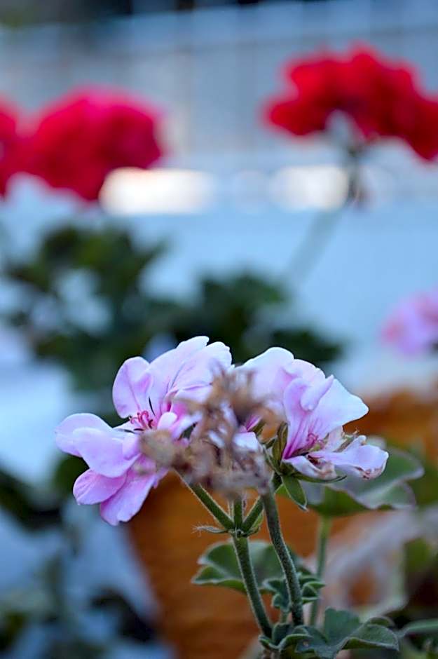 Degirmenli Konak Hotel