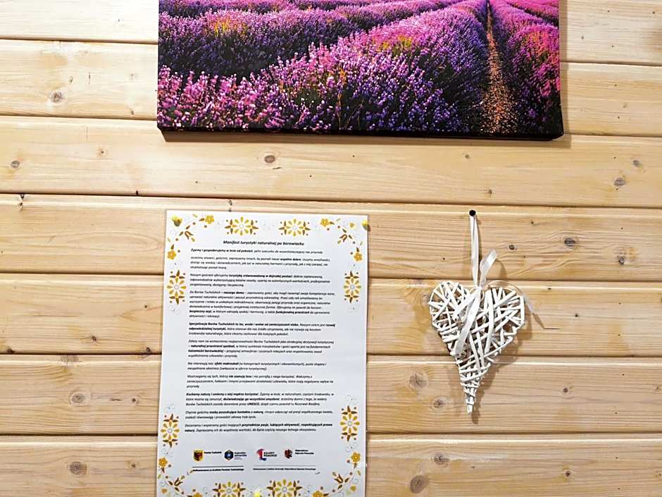 Domki Borowiackie nad brzegiem jeziora