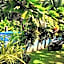 Sun House Rental