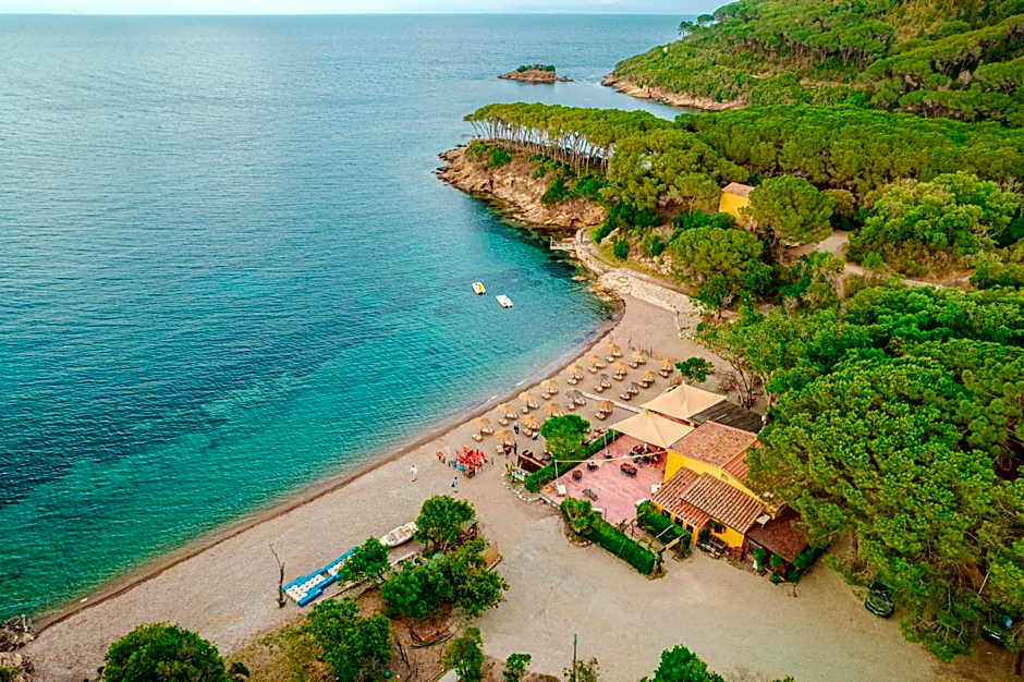 Tenuta Delle Ripalte