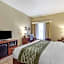 Comfort Inn & Suites Cave City