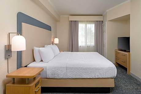 1 King Bed 1 Bedroom Suite Nonsmoking