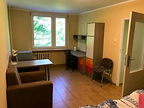 Two-Bedroom Family Apartment