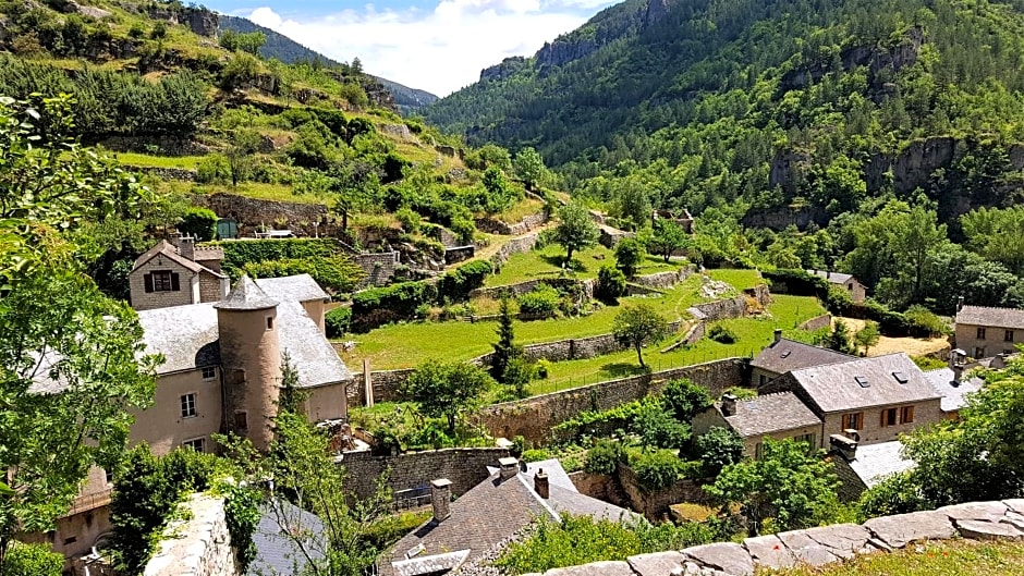 Les GARGOUILLES Gorges du Tarn - Millau