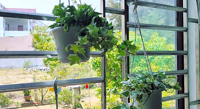 View Nhat Le Beach Hotel