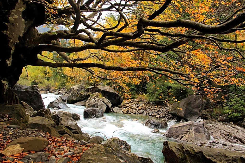 Hotel, Bungalows y Camping Viu