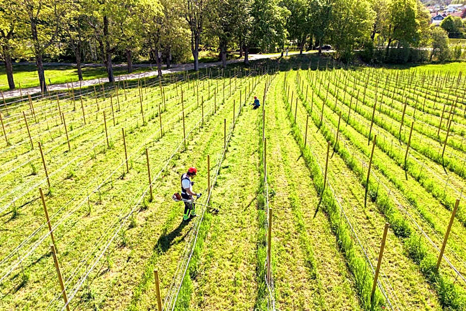 Thorbjørnrud Hotell