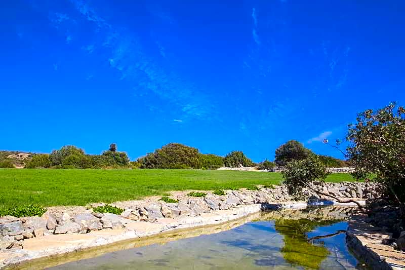 Ekaterini Hotel-Apartments