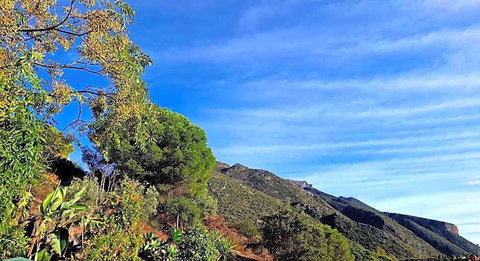 Hotel Rural Los Jarales