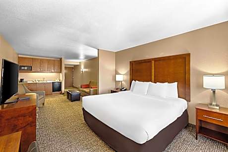 1 King Bed, Suite, Nonsmoking, Accessible