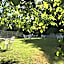 B&B Oasi Vetoio